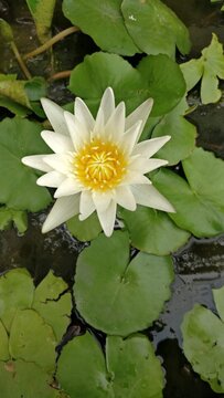 理性购彩提醒